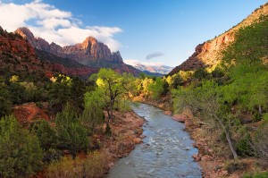 Tubing Attractions in the Virgin River