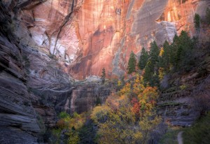 Autumn has arrived at Echo Canyon at Zion National Park, Utah