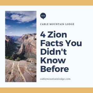 4 Zion Facts You Didn't Know Before