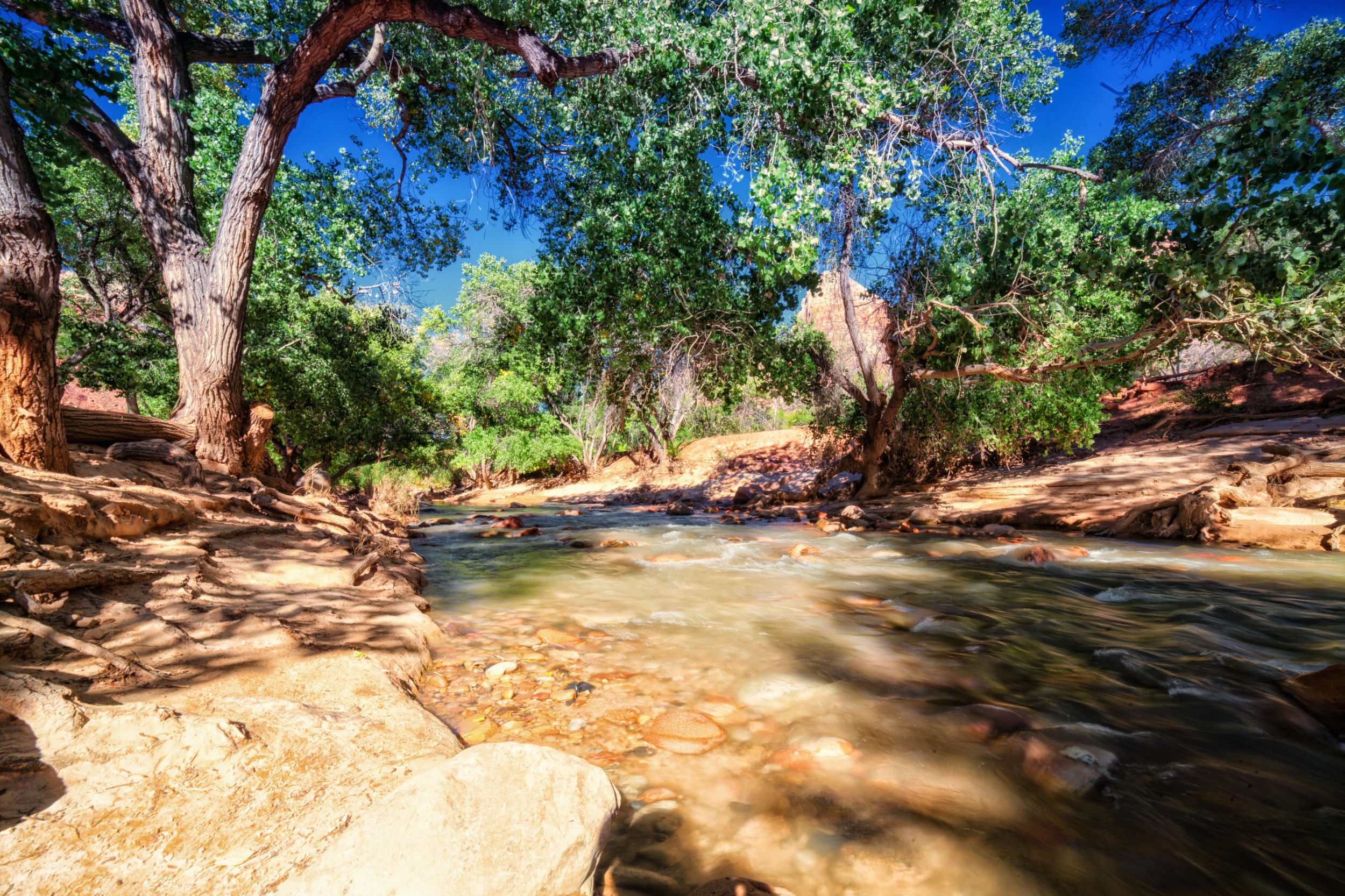 Riverside Picnic | Cable Mountain Lodge at Zion National Park